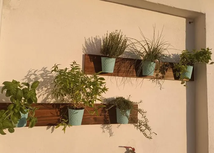 Domus Vacanze ne